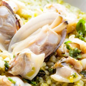 Vongole - 